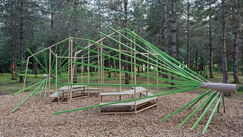 Bois de Montrosiès Nègrepelisse