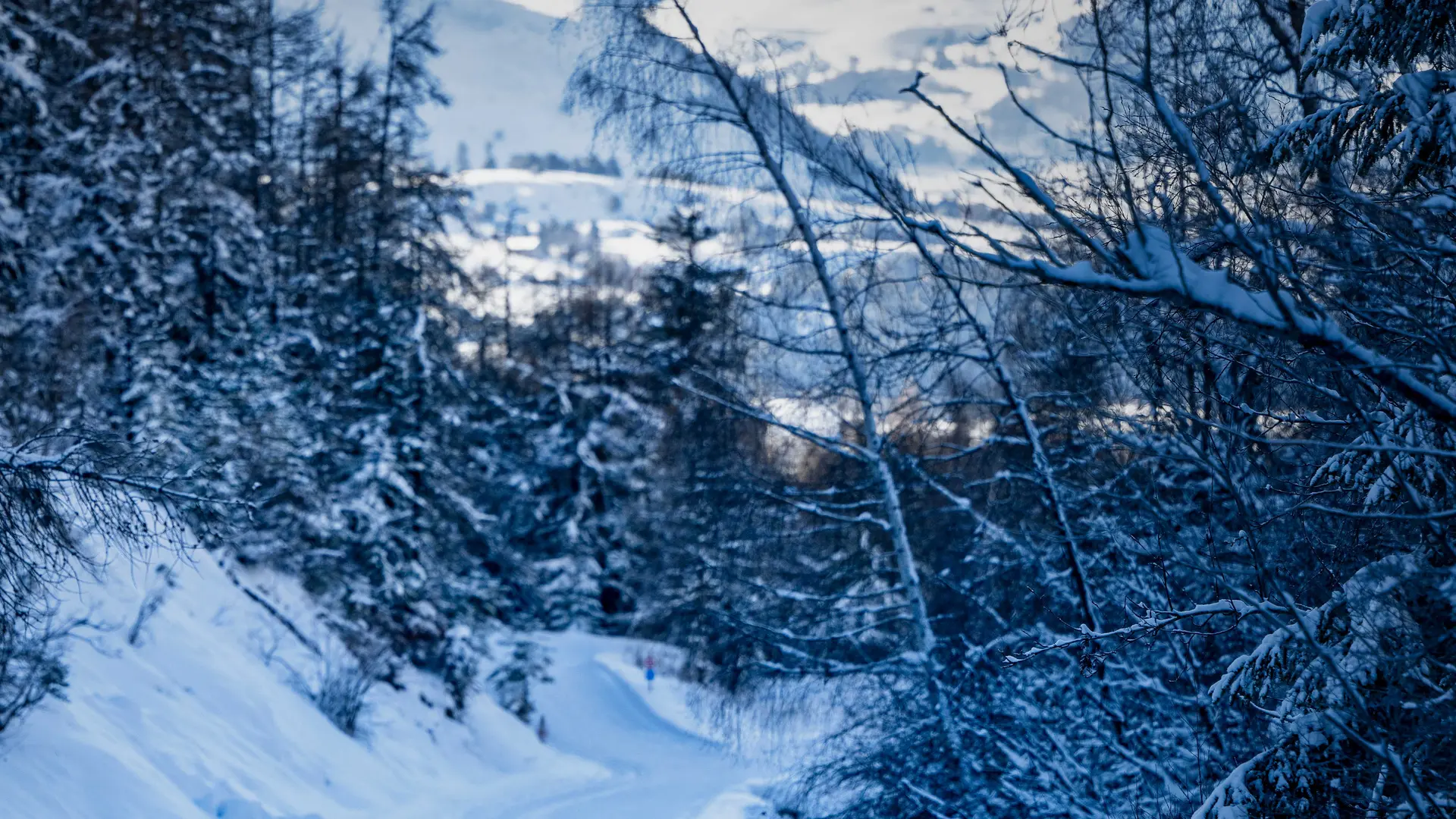 Préparation de course - Prenez plaisir à skier