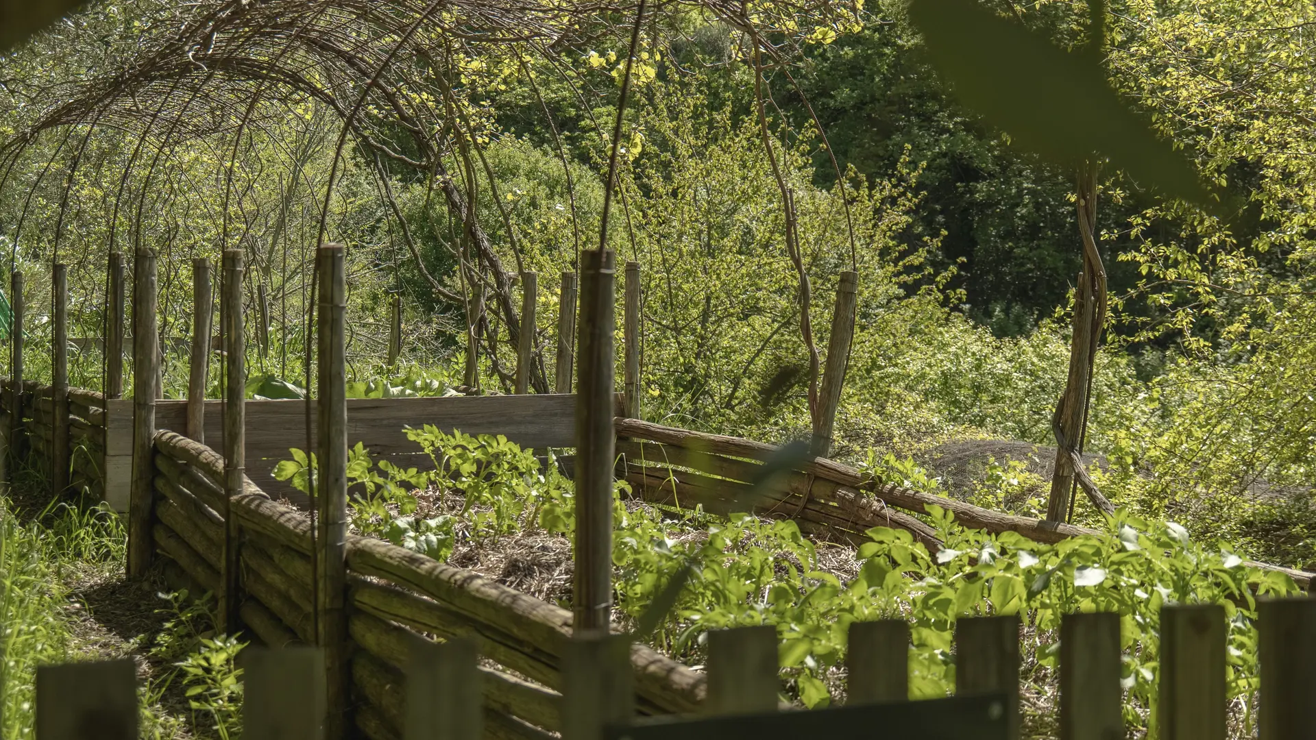Potager