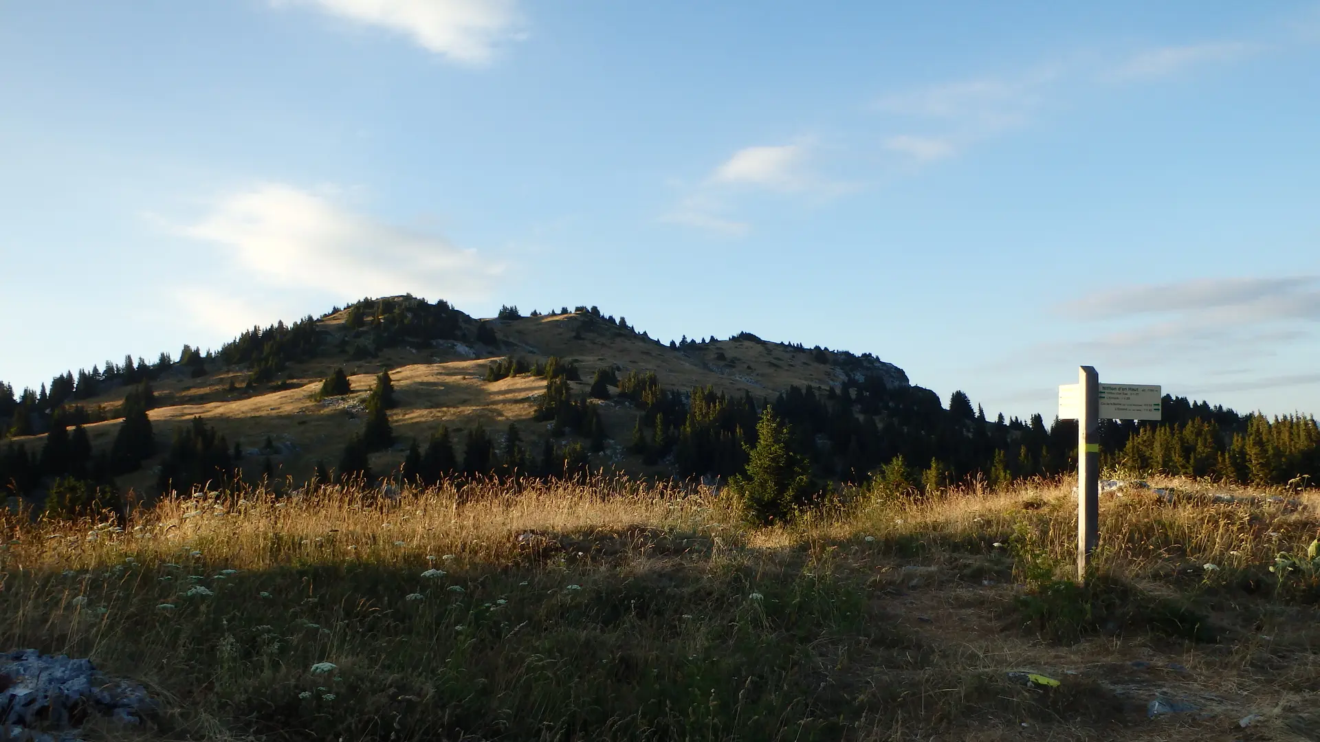Pointe d'Ireuse depuis Nifflon d'en Haut