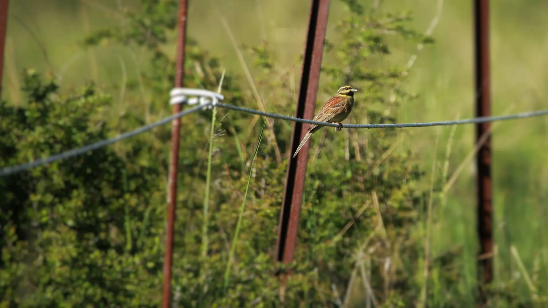 Petite boucle de l'Eygau