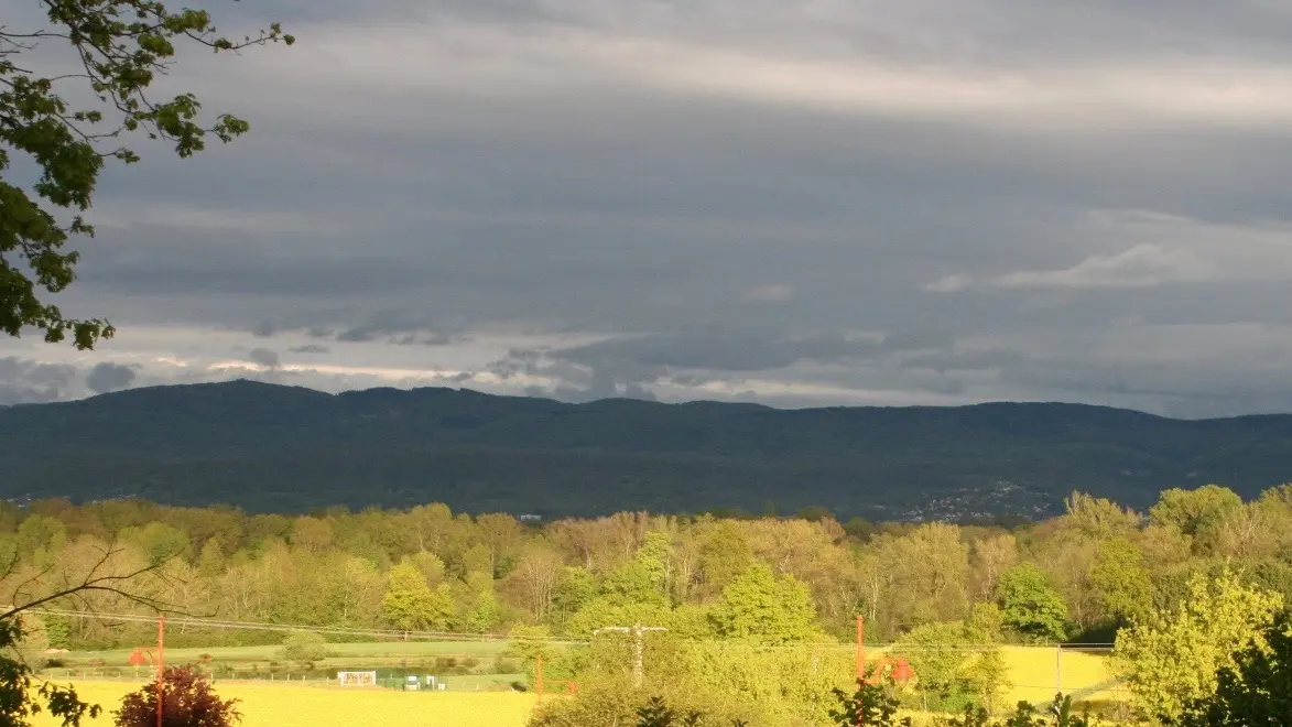 Vue depuis le séjour.