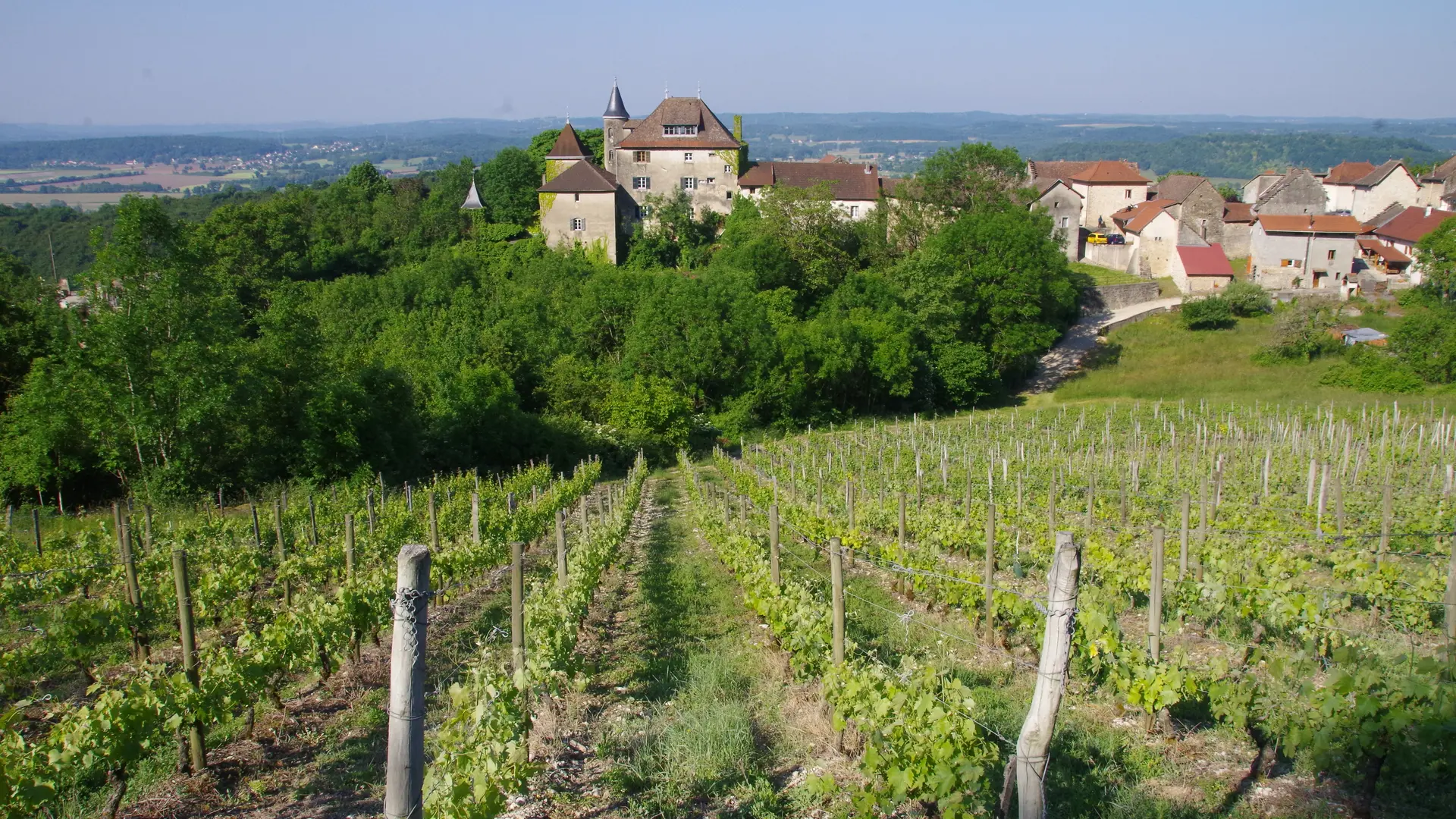 vue depuis les vignes