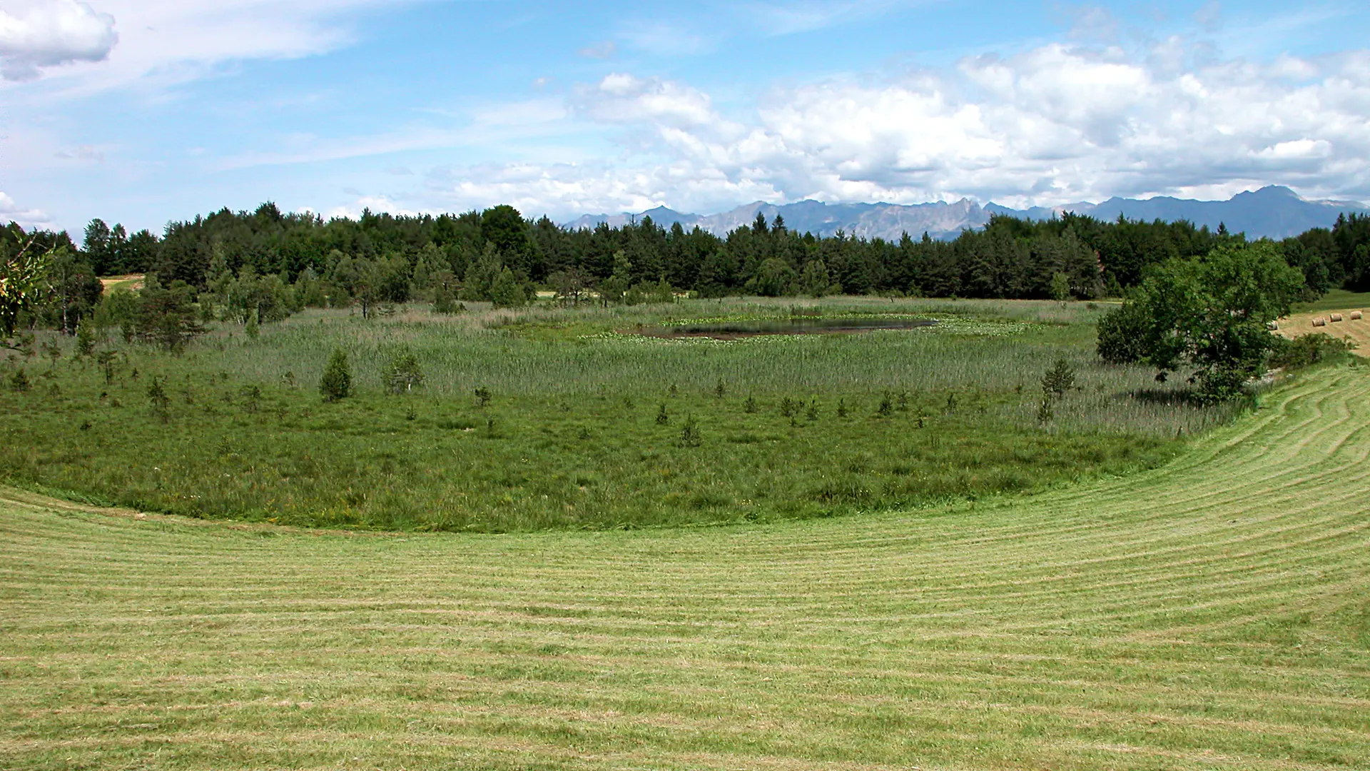 Le Lac de Saint-Léger