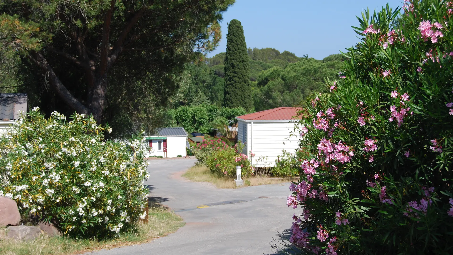 Camping Hautes Vernèdes