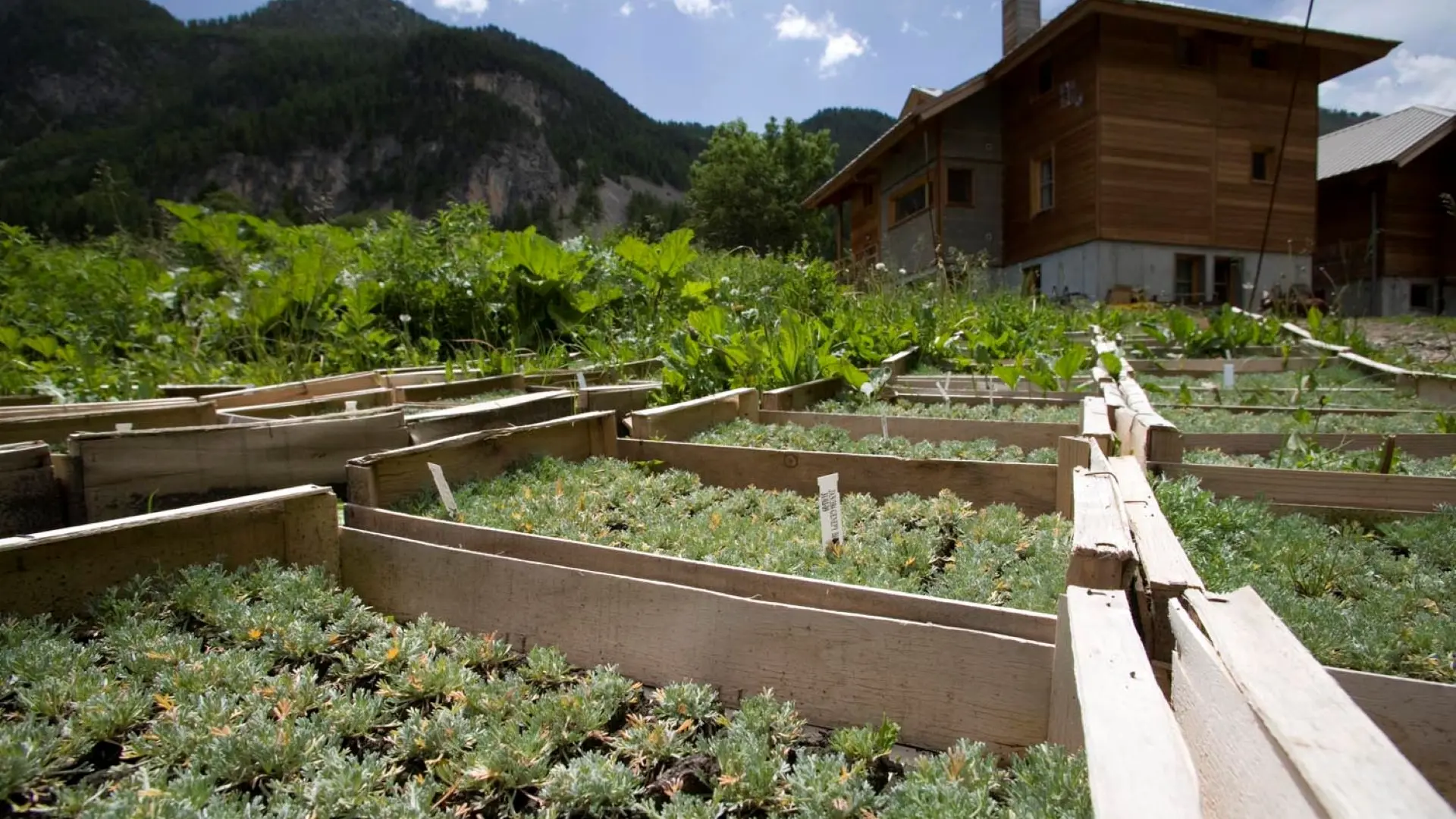 Vente directe produits biologiques