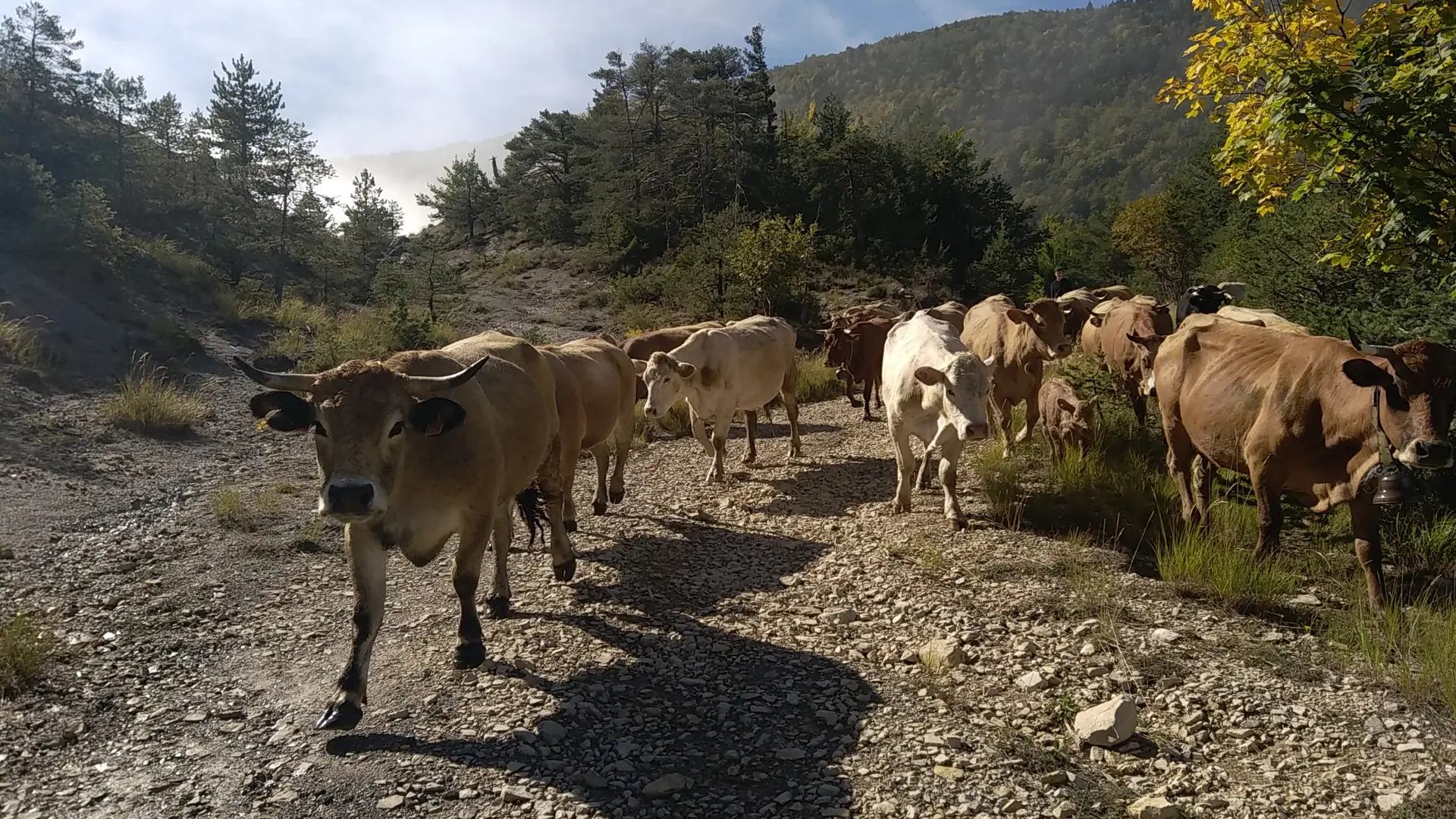Ferme de La Petite Grange_Montmaur