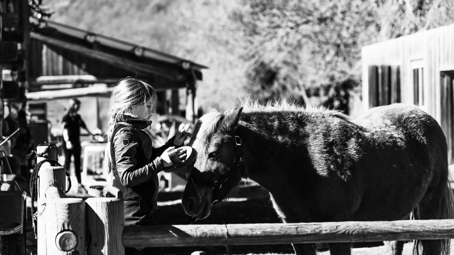 Poney