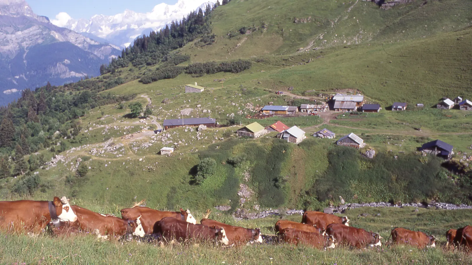alpages et chalets de Doran