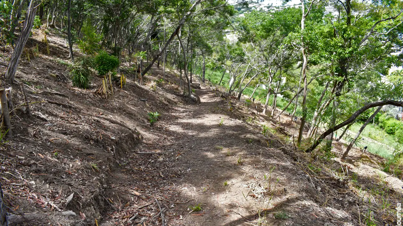 Sentier Forêt Sèche du Mont Vénus
