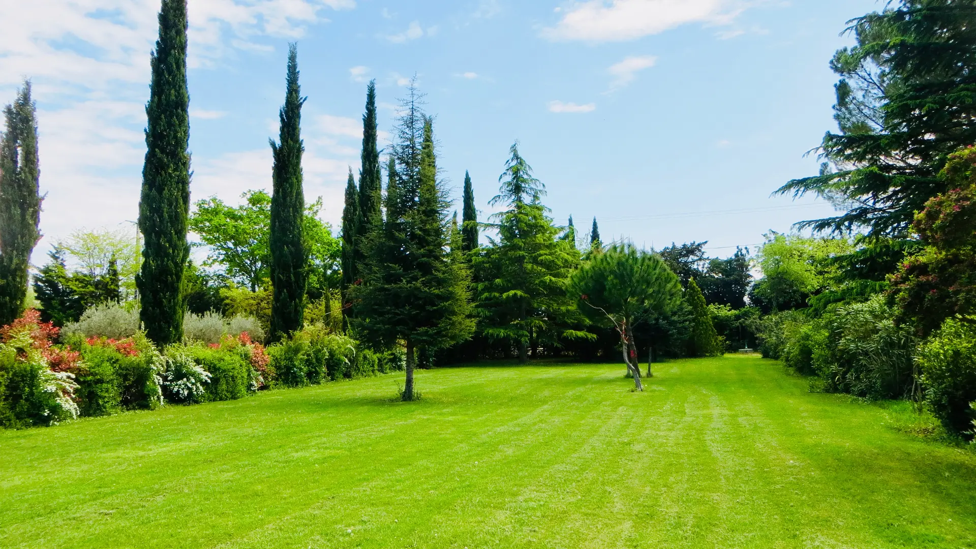 Le jardin vue du gîte