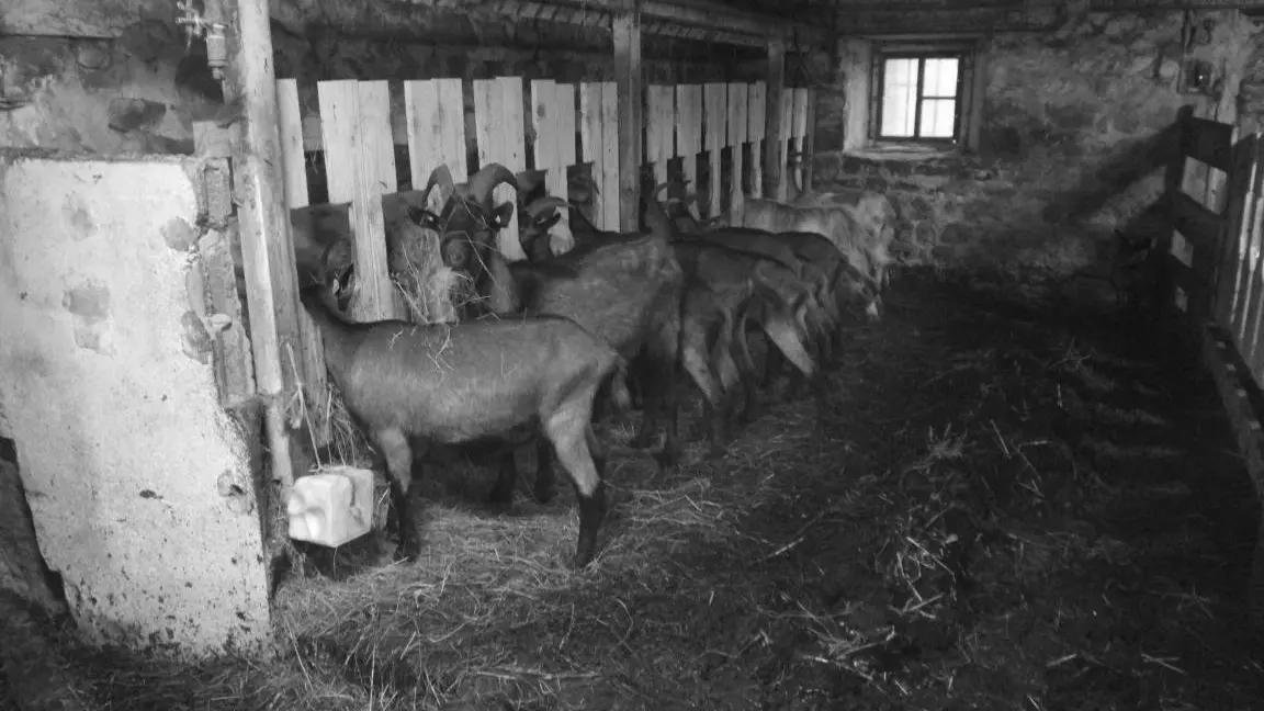 Ferme Les Sources du Peyrot - Montarcher (42380)