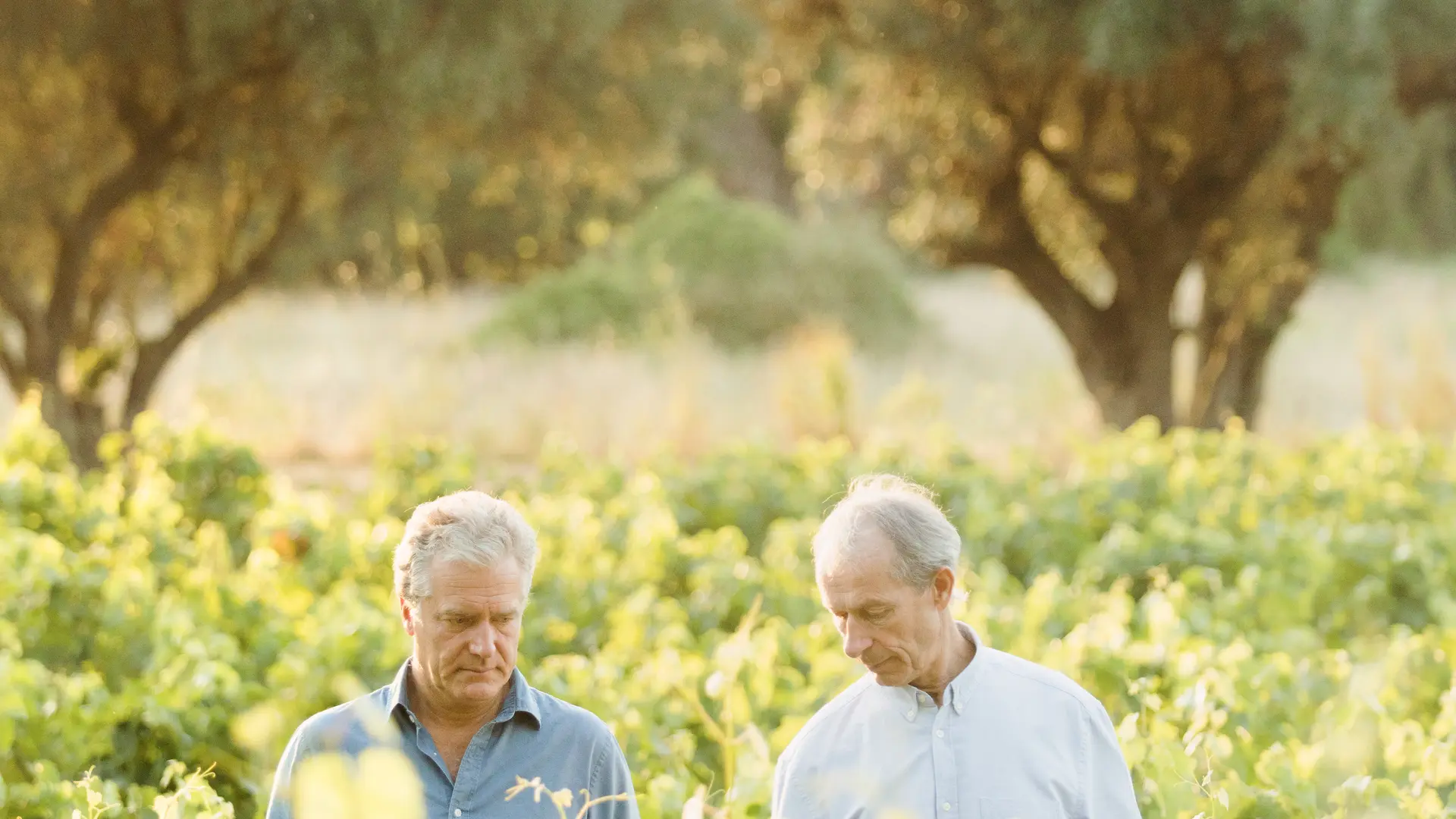 Jean d'Arthuys & Reynald Delille