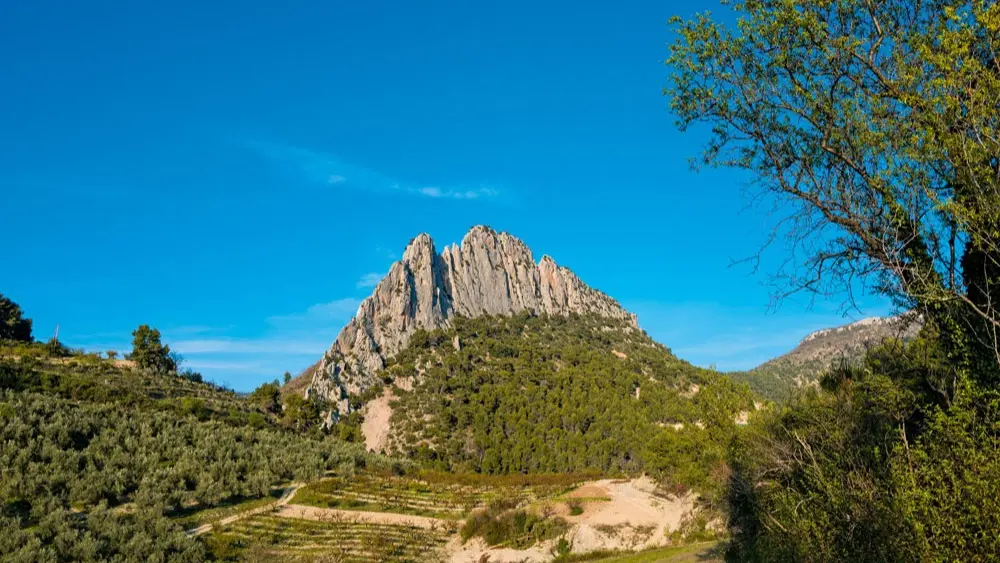 LE ROCHER SAINT JULIEN A BUIS LES BARONNIES