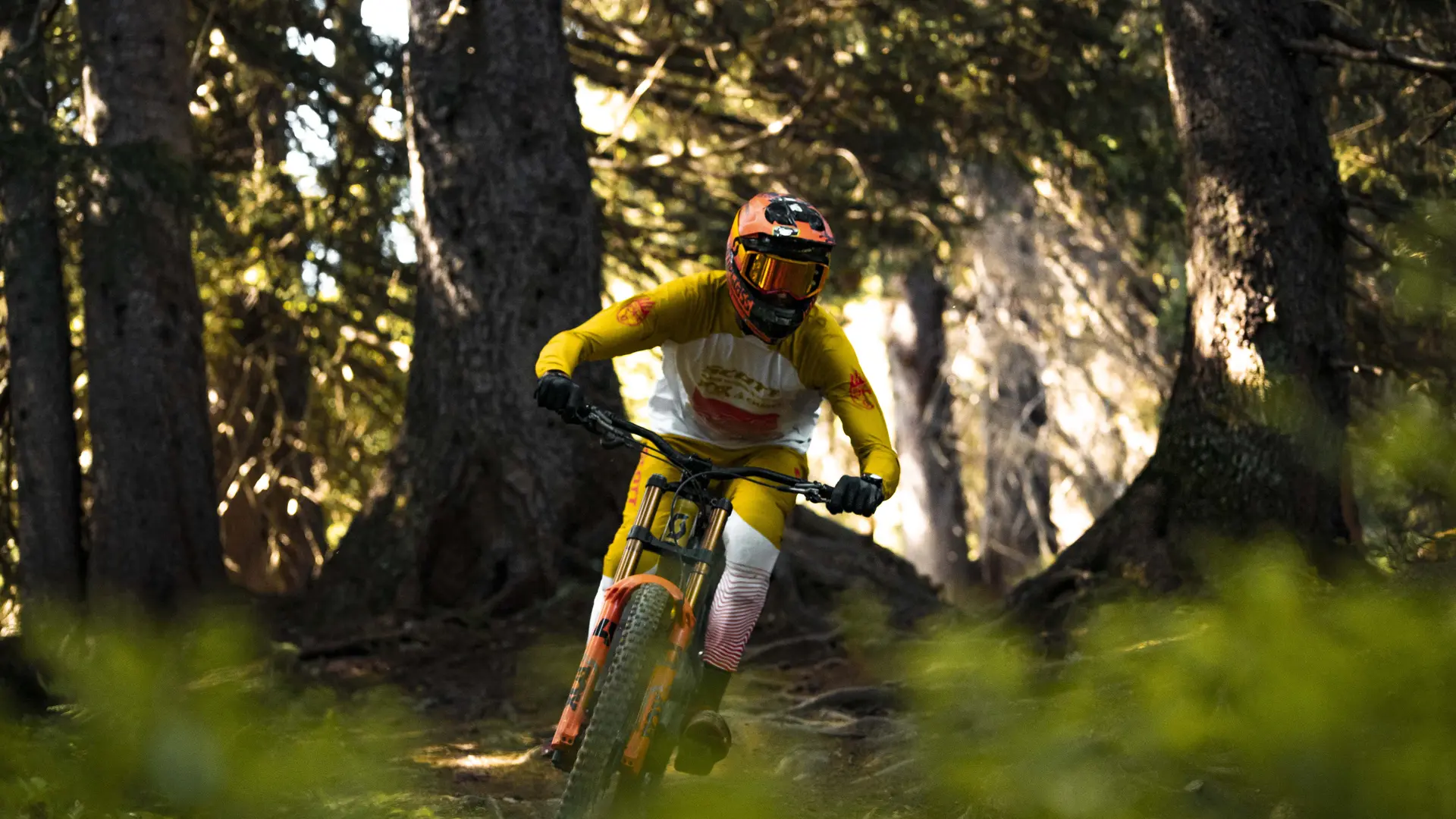 Passage dans le bois, parcours racineux