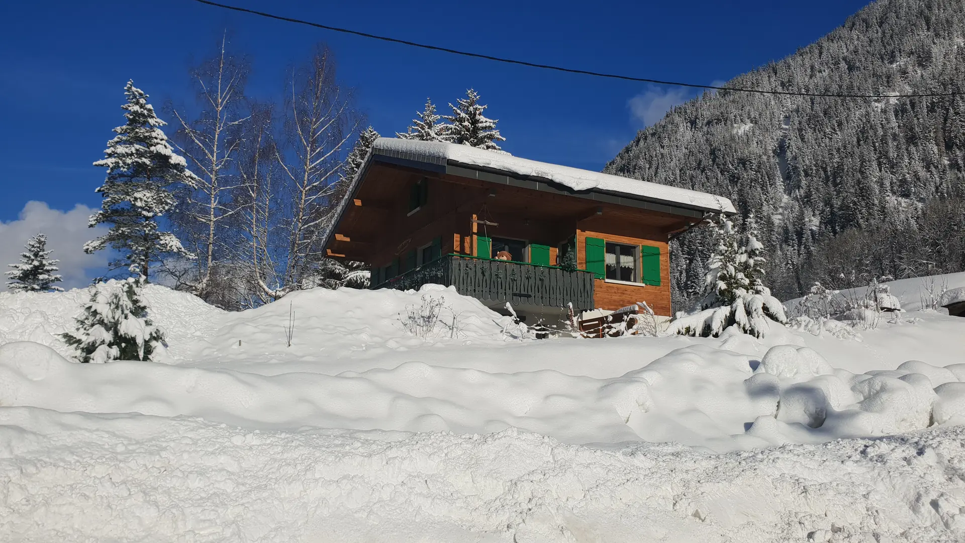 La sapinière