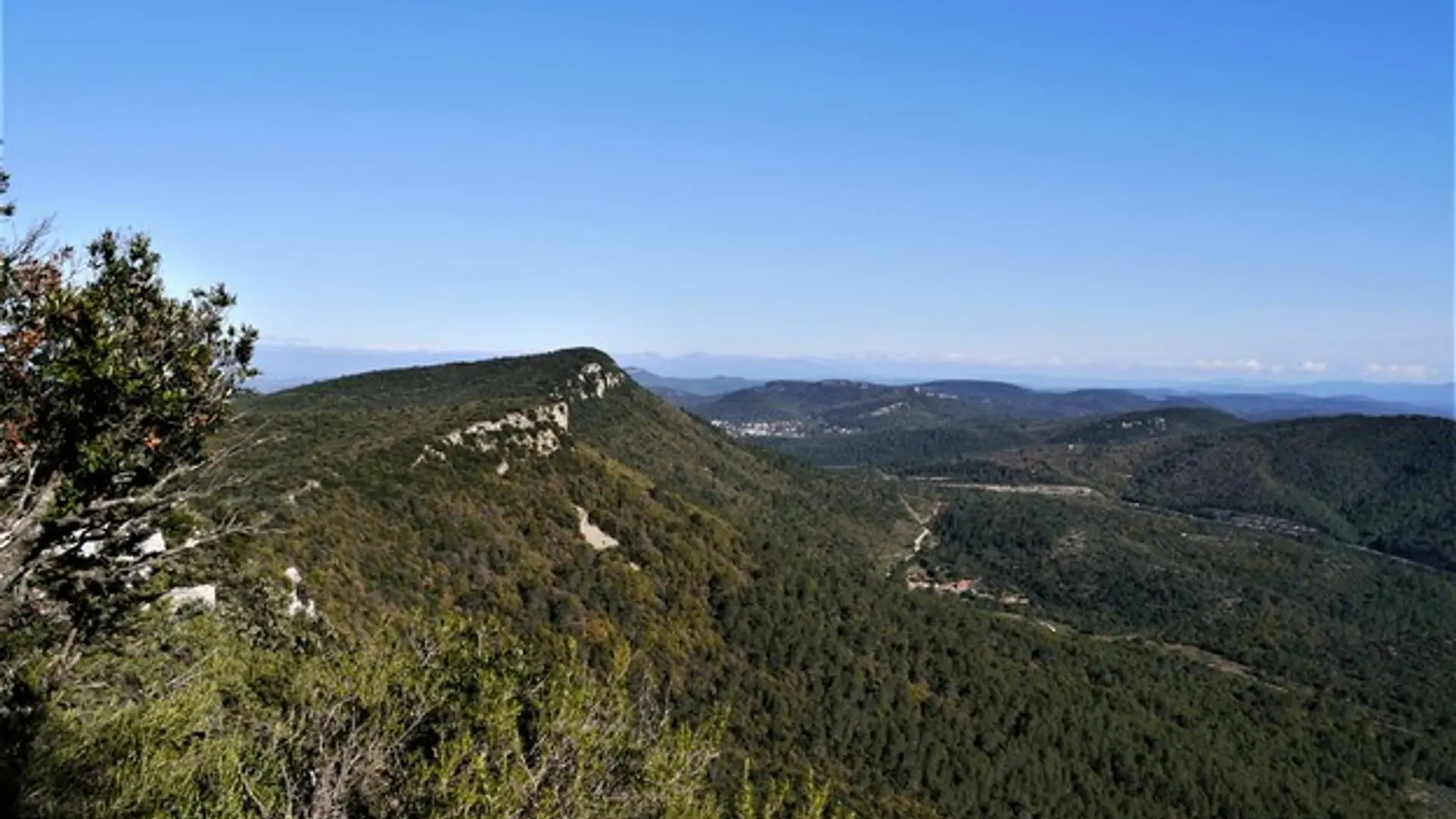 Le long de la crête