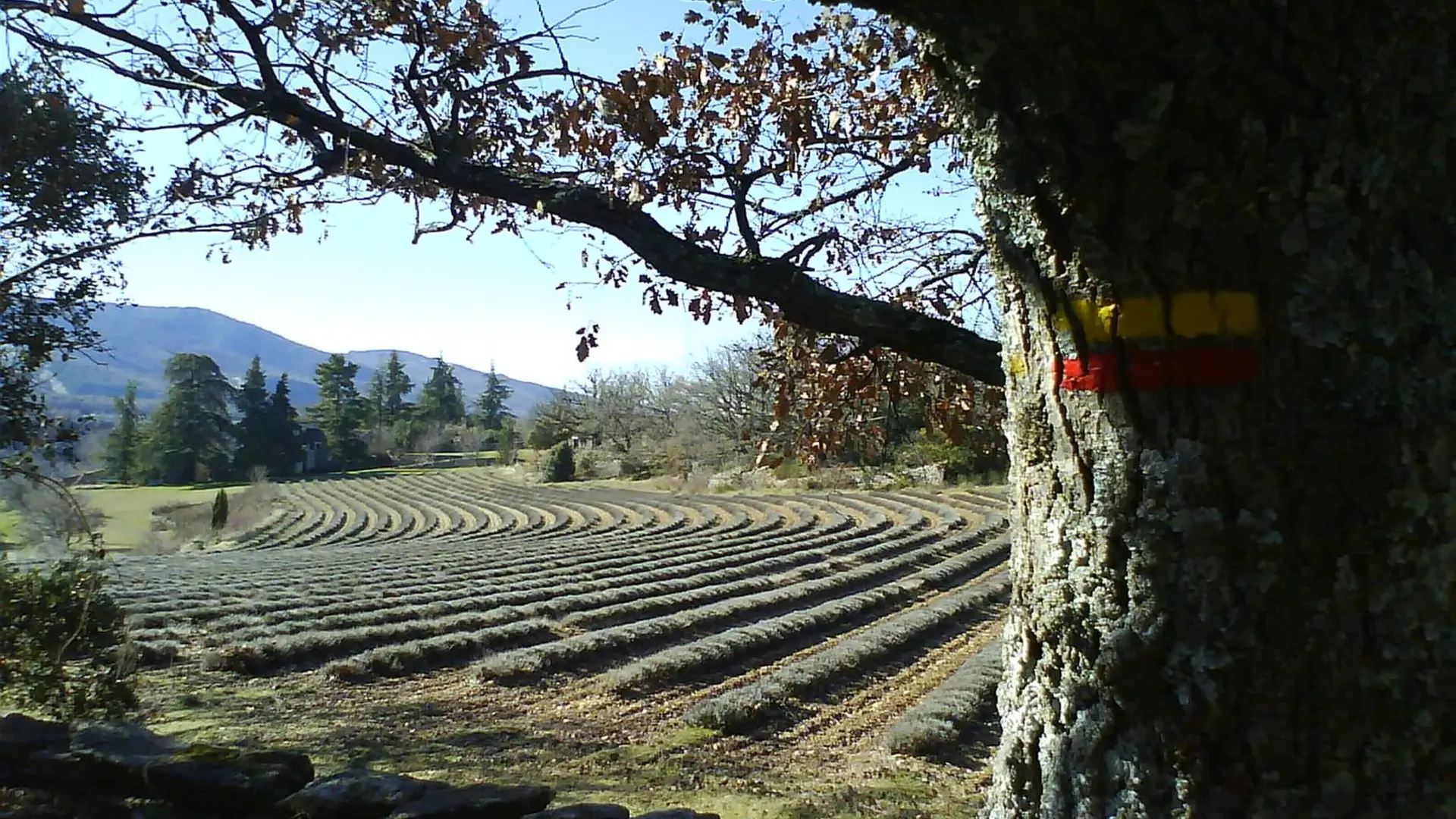 Chemin de Salen en fin d'été