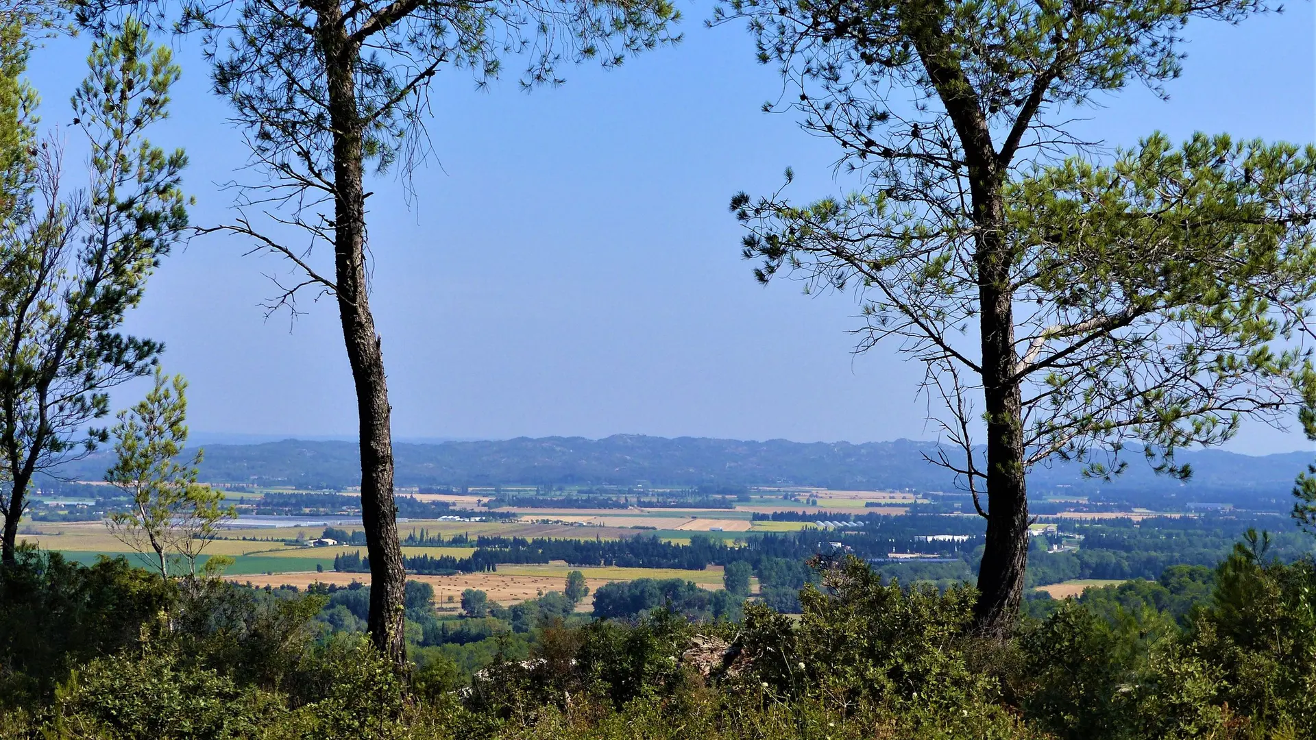 Vue sur la Montagnette