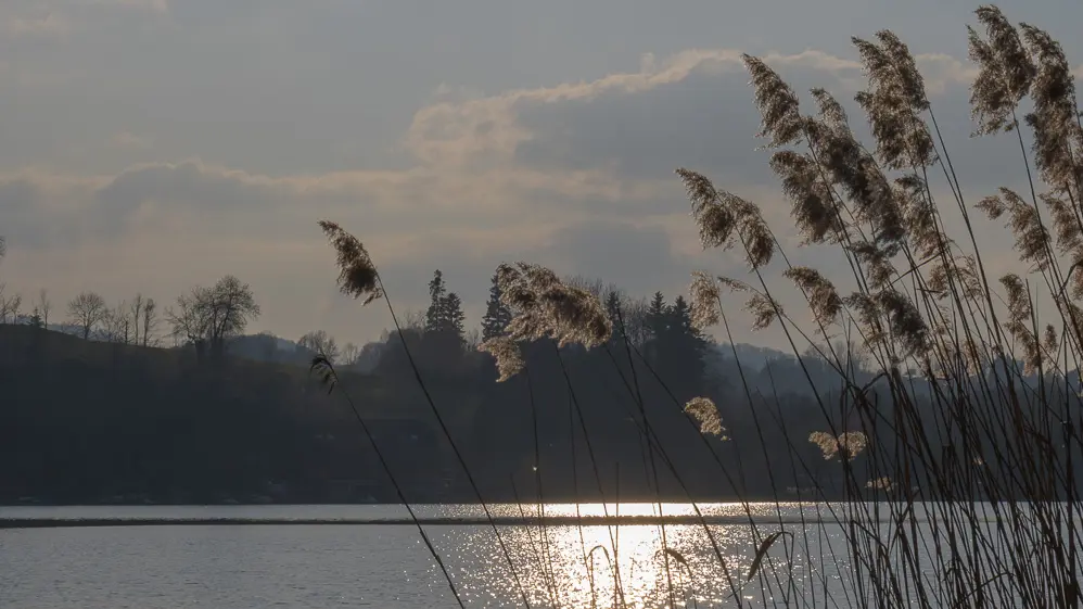 Christine Pascal - Photographe nature Aiguebelette