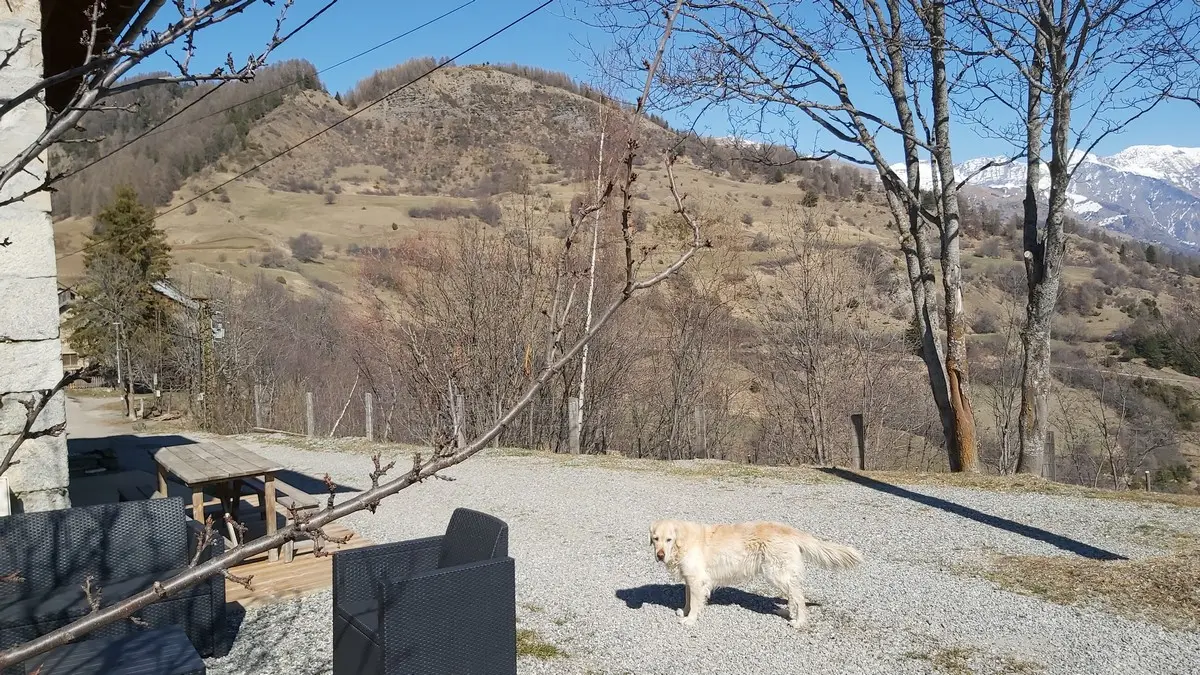 Location M. Stockman Meublé St Jean St Nicolas vallée du Champsaur