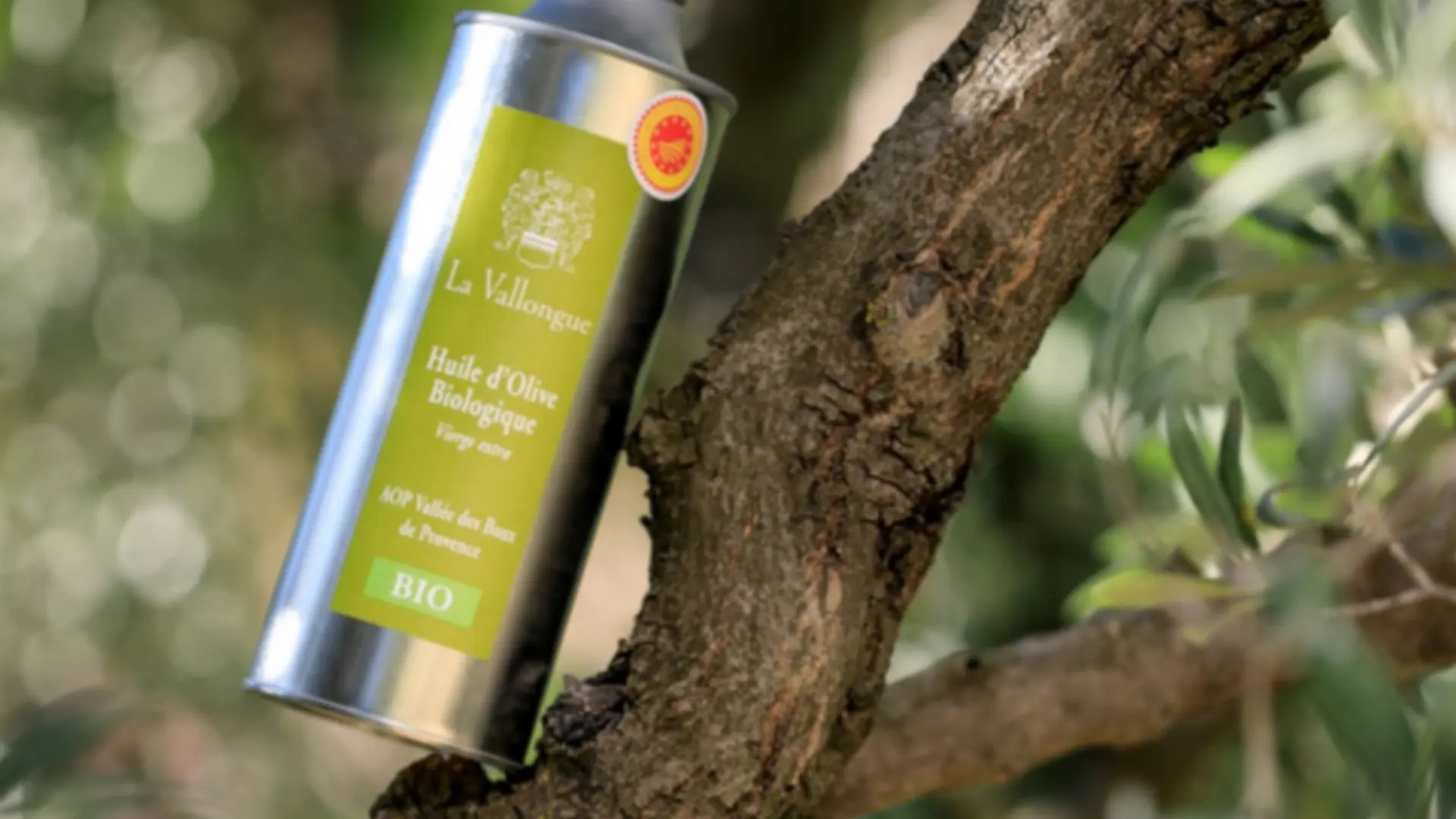 Wine estate Domaine de la Vallongue Eygalières bottle of olive oil