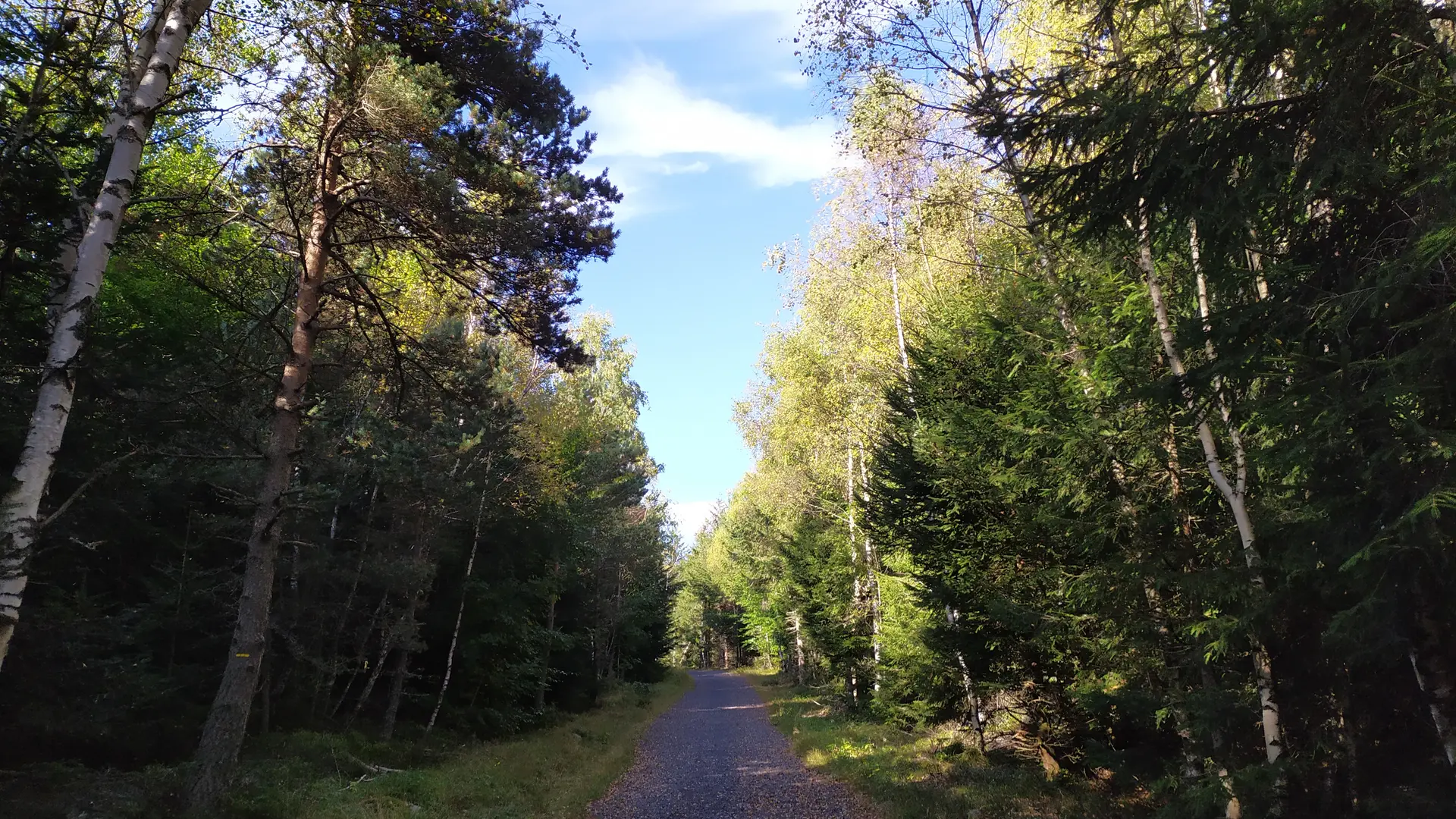 Départ de l'ascension du Lizieux à travers la Forêt