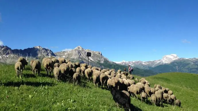 Aventure & Altitude : randonnée