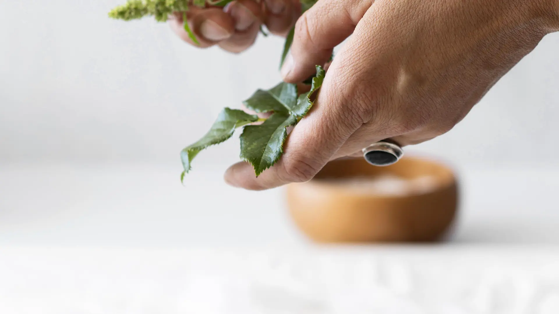Personne qui teint un chiffon avec des pigments naturels
