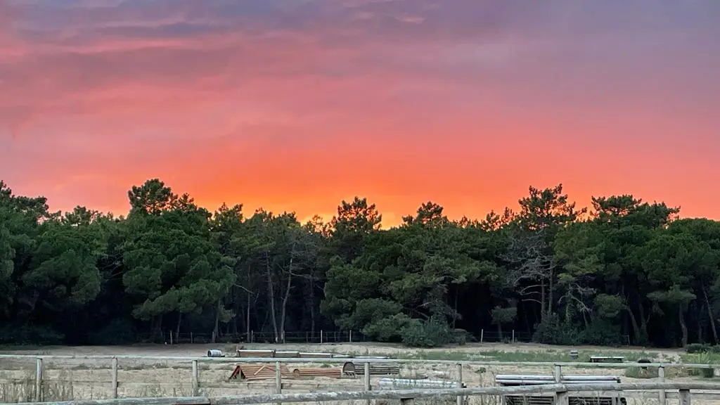 Coucher de soleil aux écuries