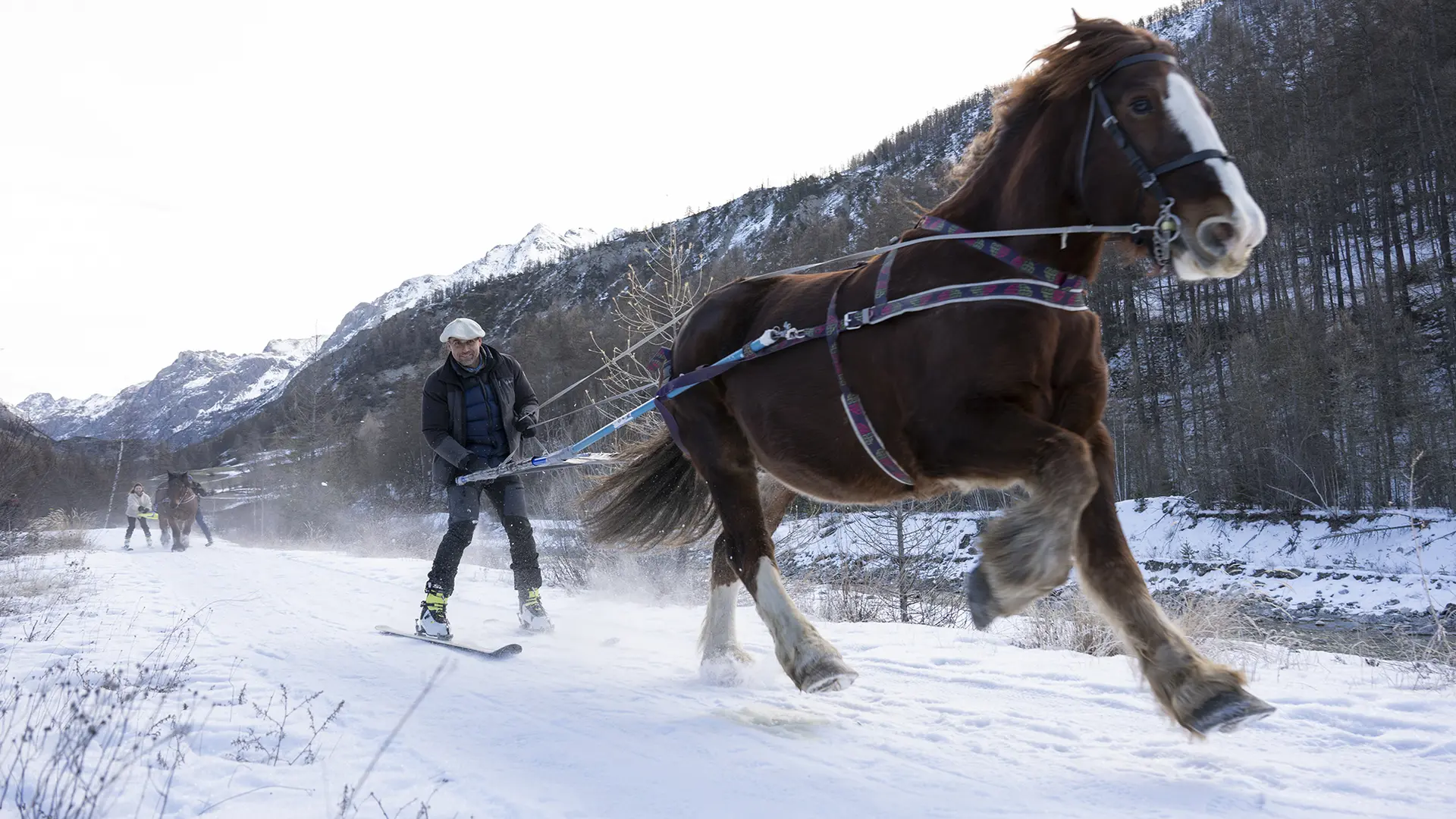 Provence Equiservices - Ski joëring