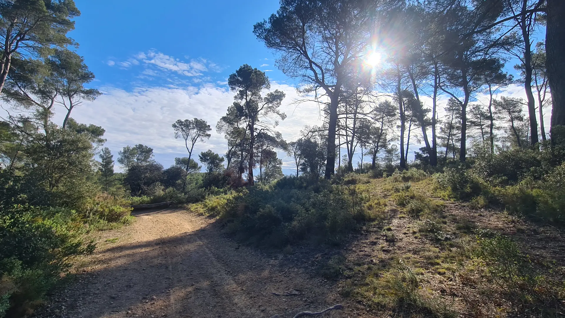 Sentier du Mur de Gueidan_Gardanne