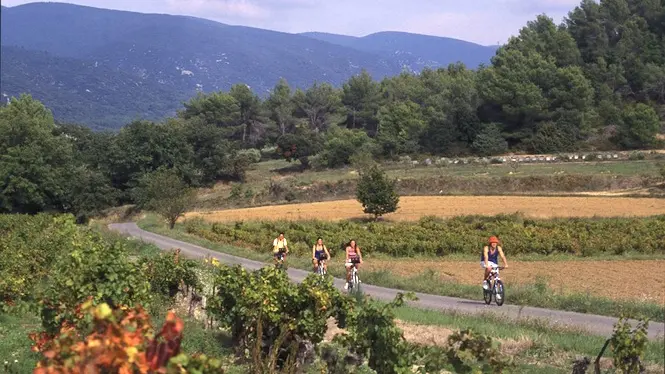 Tour du Luberon à vélo en liberté 4