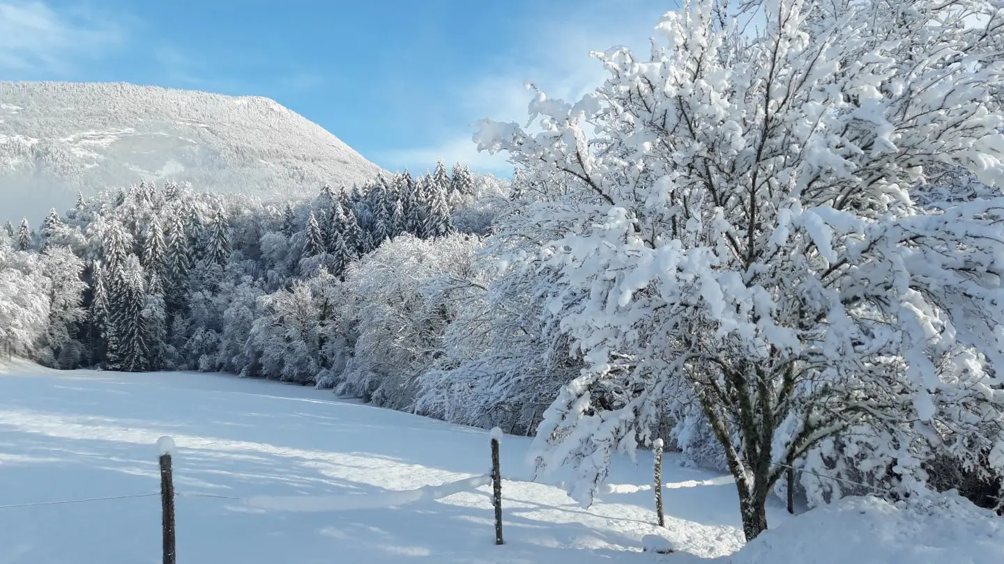 Hivers