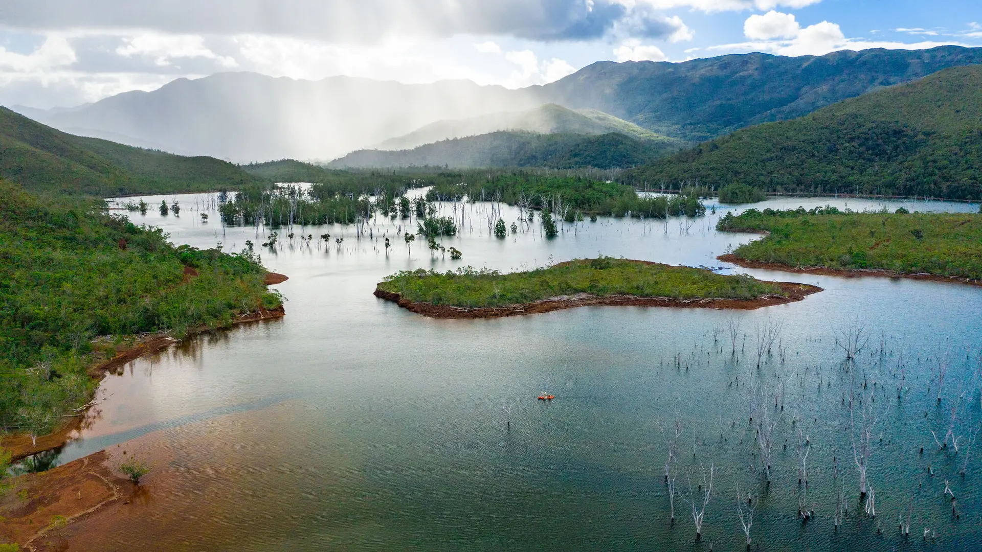 La traversée vous mènera à l'essence même de la forêt noyée, le joyau du parc de la rivière bleue