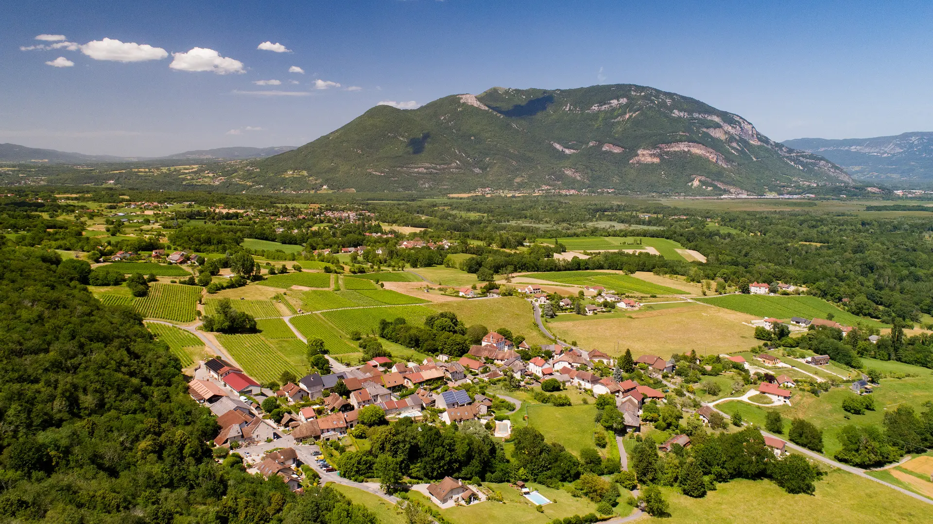 Circuit de randonnée pédestre : Lac et vignobles_Pollieu