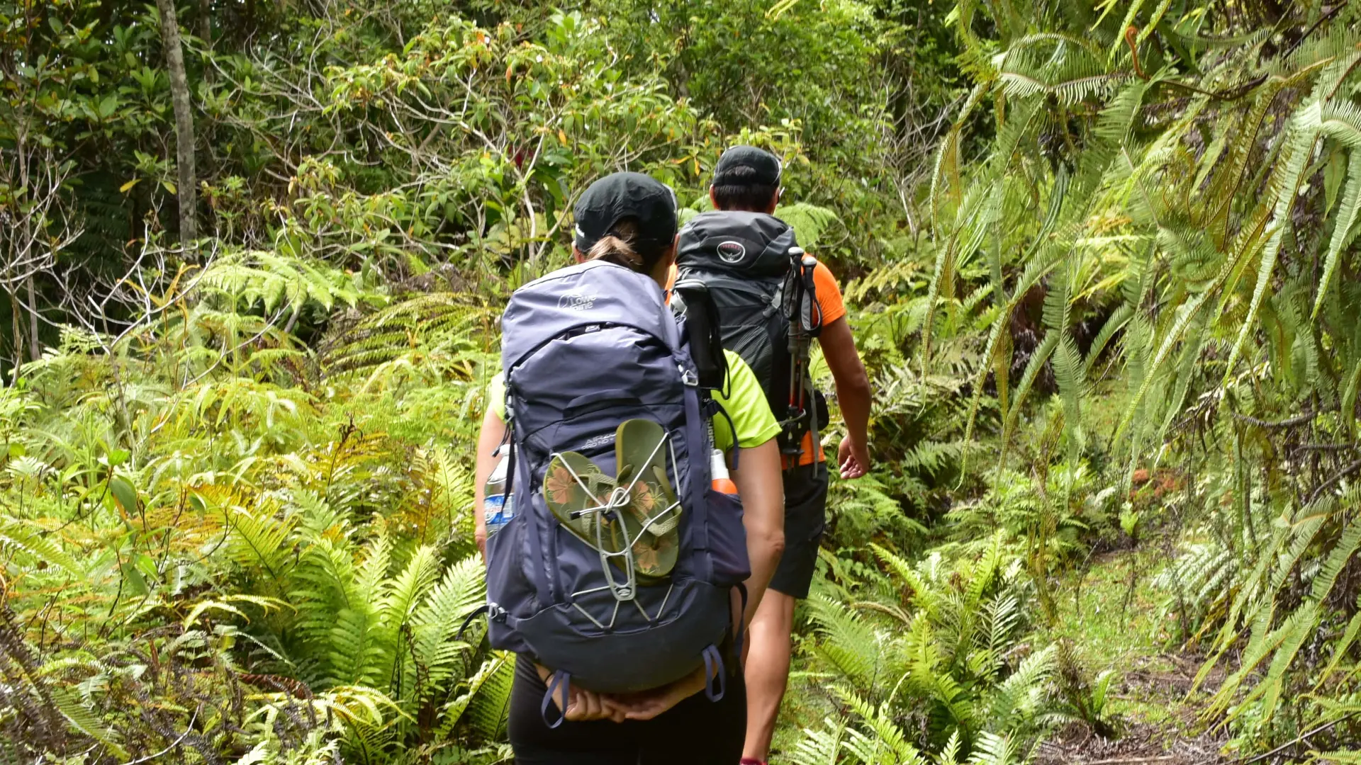 guides, randonnée GR Nord