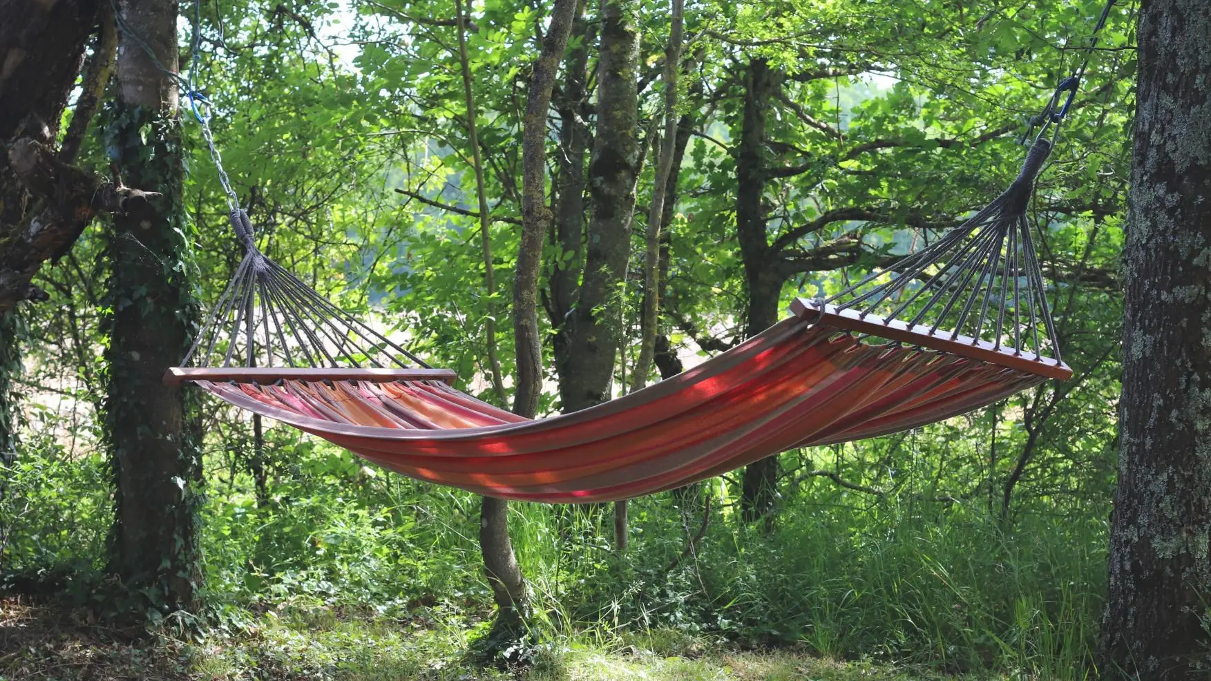 Le hamac à l'ombre des chênes