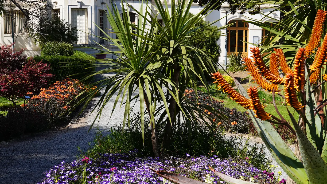 Médiathèque Villa Marie Fréjus