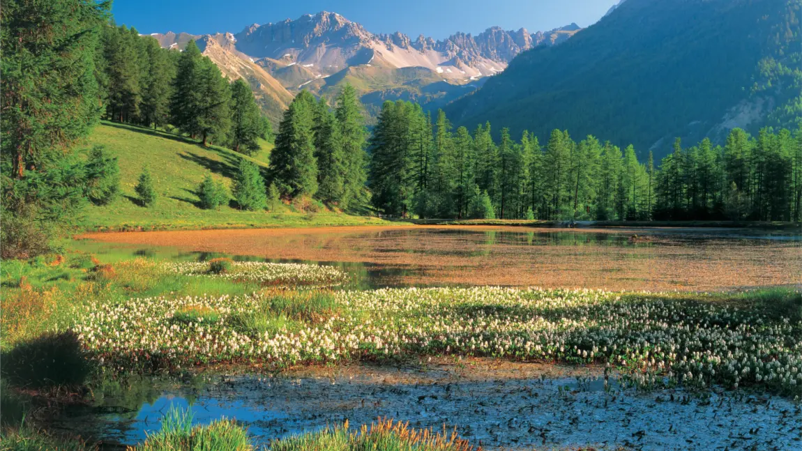 Un lac sympa accessible à tous