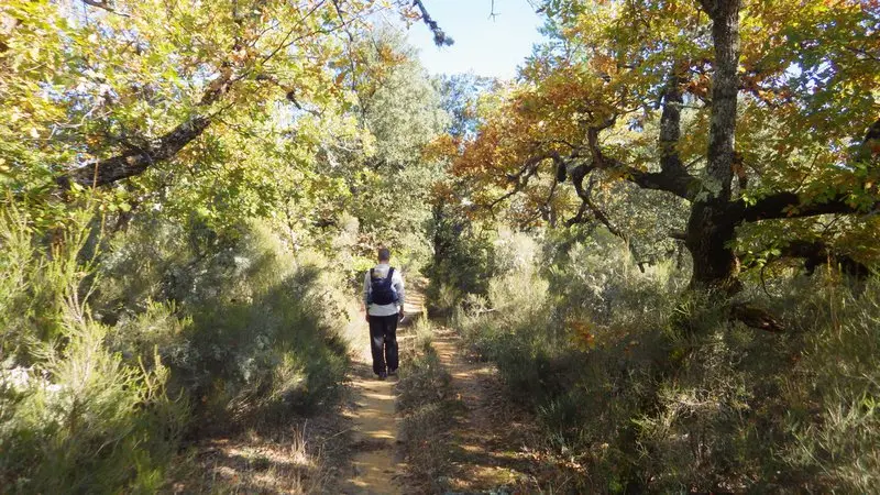 Randonneur sur la colline de la Bruyère
