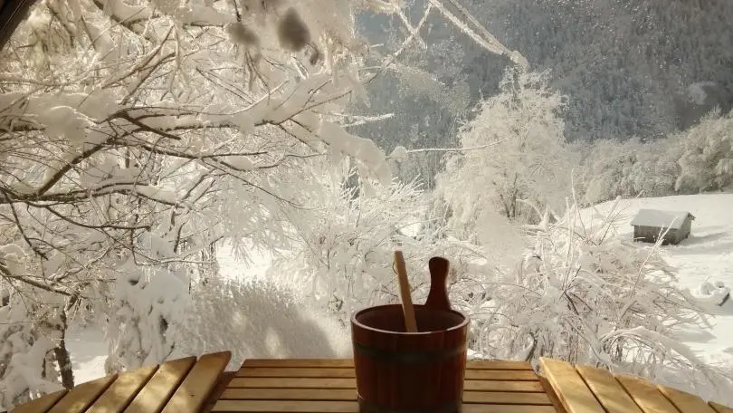 Le sauna et sa vue