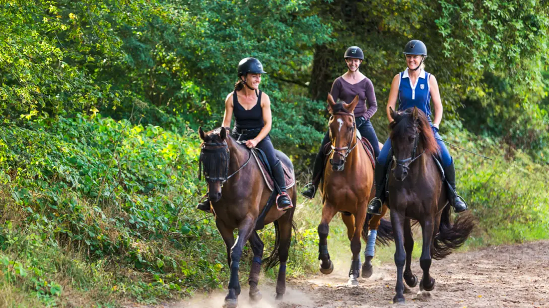 Horse Holidays Maisons Laffitte