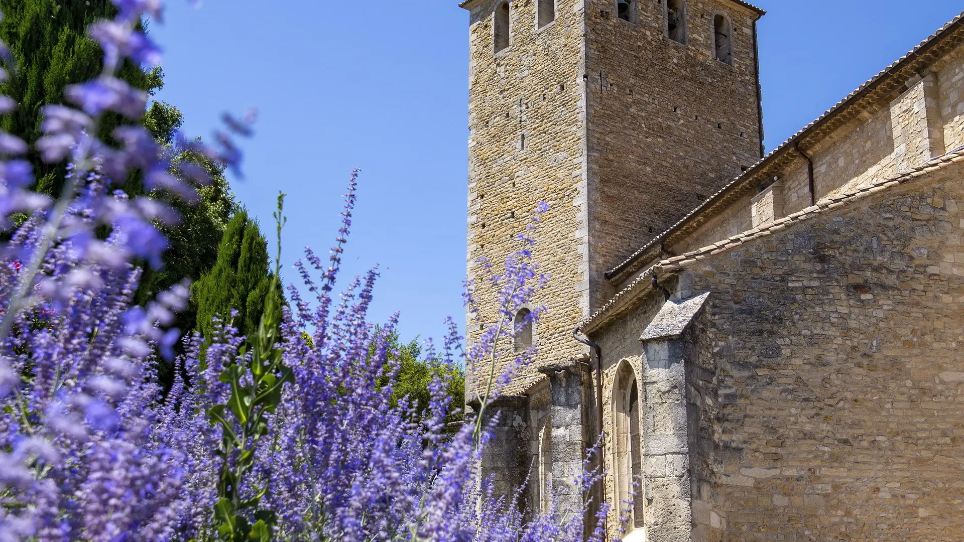 Collégiale Saint Martin