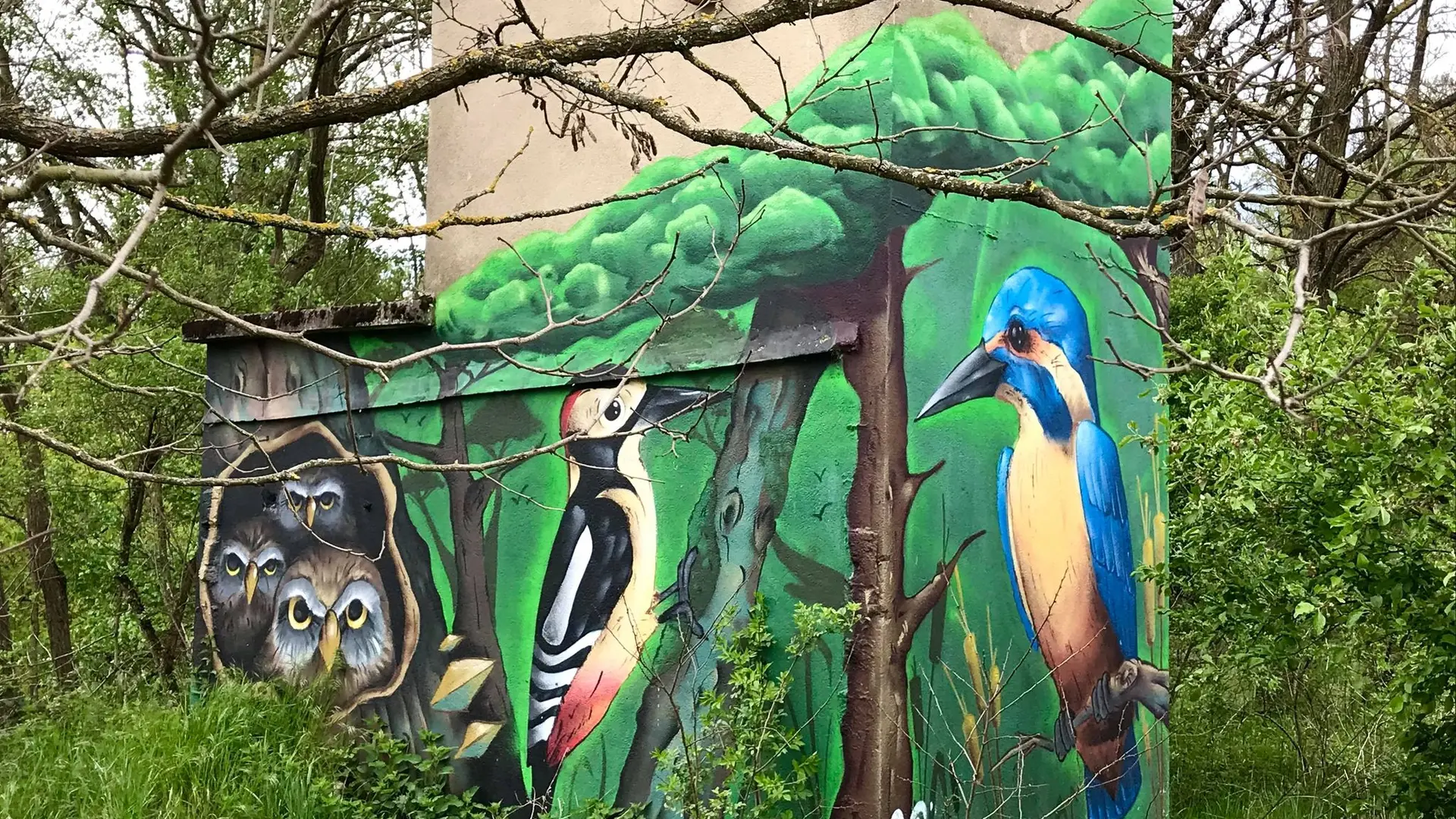 Fresque sur le refuge pour la faune sauvage