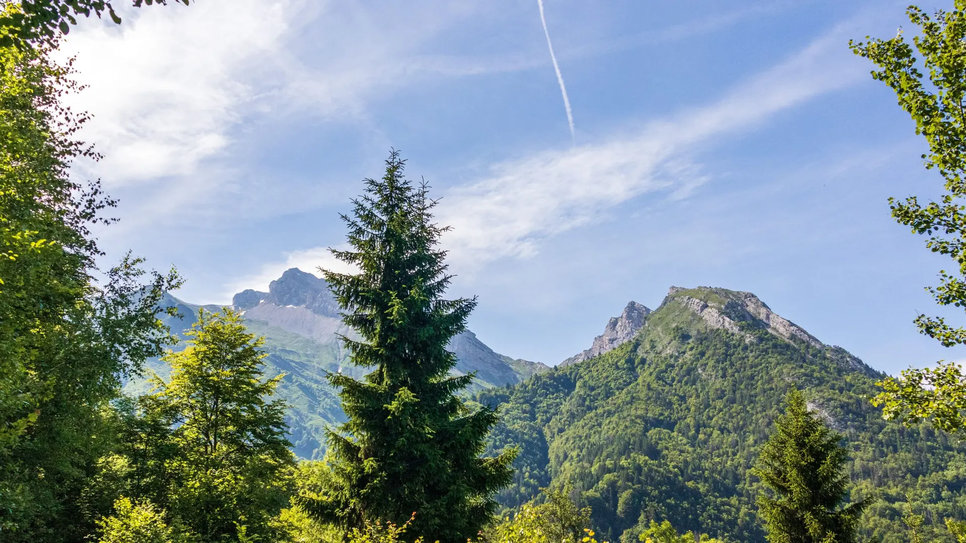 panorama