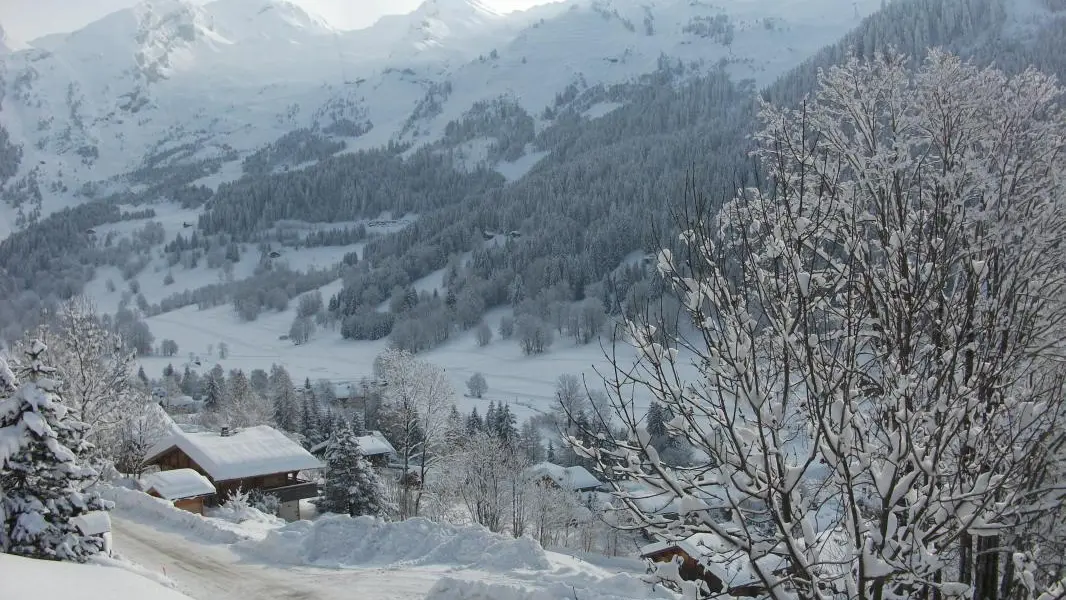 Vue sur la Chaine des Aravis