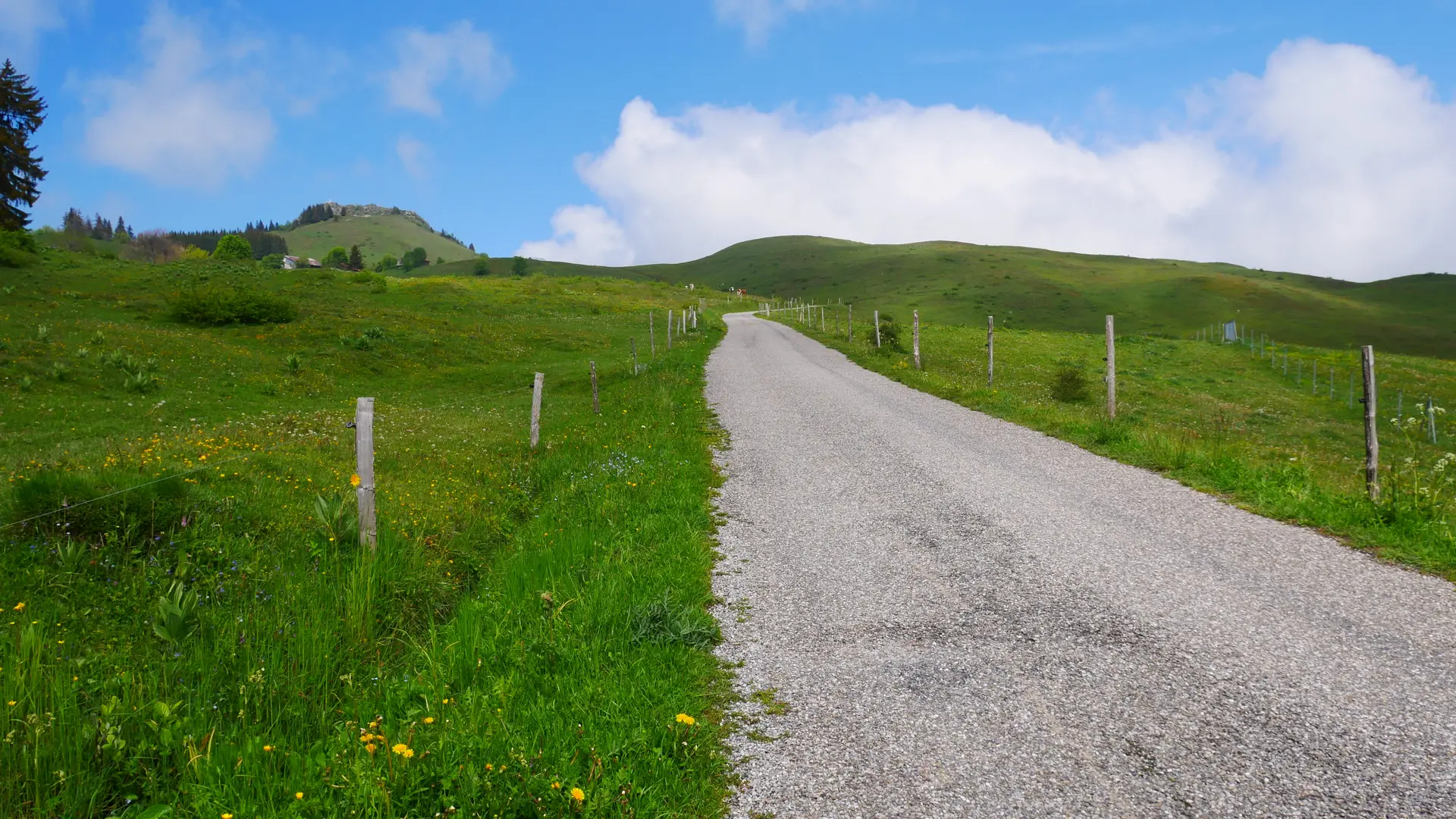 Photo d'un chemin sur le plateau de Plaine-Joux