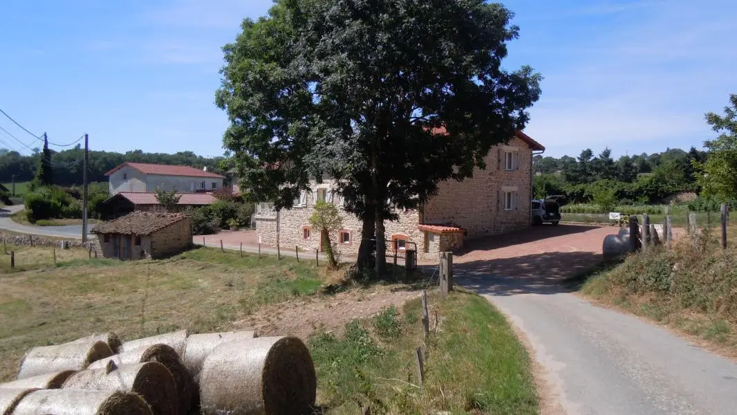 Verdure et calme de la campagne