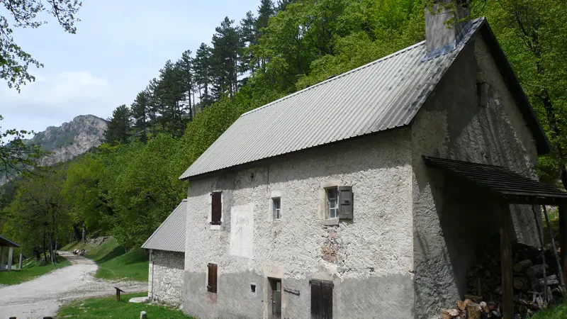 Chartreuse de Durbon